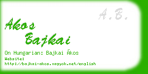 akos bajkai business card